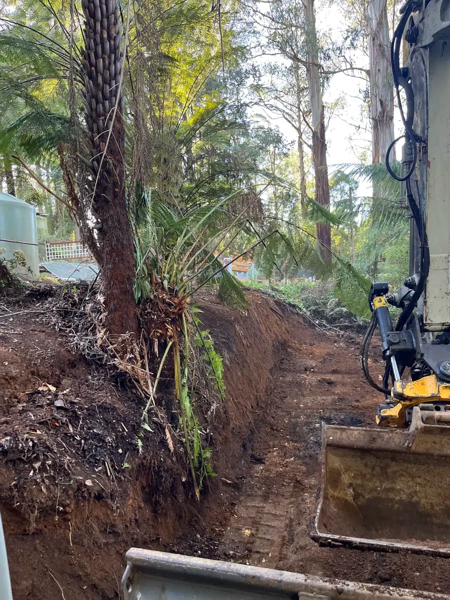 Takeuchi excavator working on a steep hillside among tree ferns