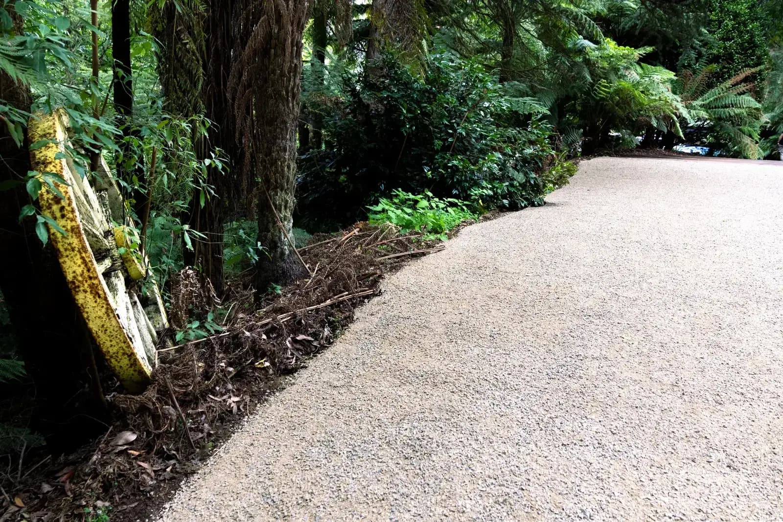 Completed crushed rock driveway winding through tall trees and ferns in the Dandenong Ranges